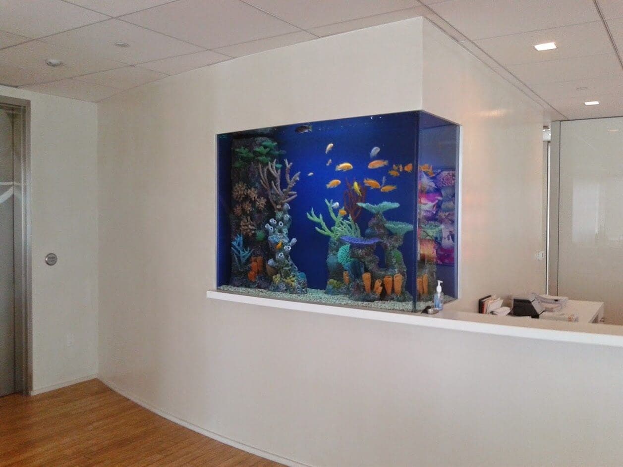 Corner custom fish tank built into a home