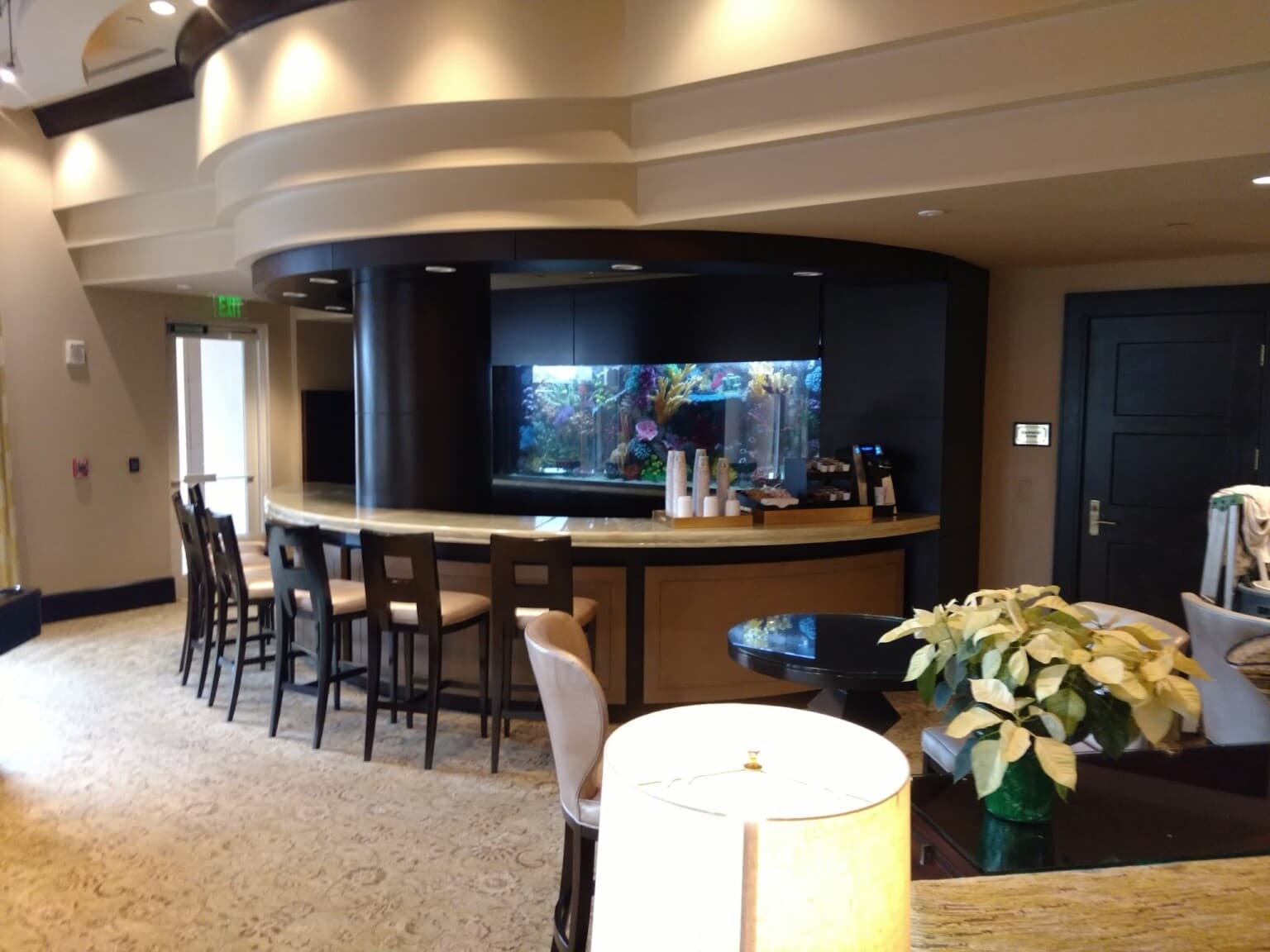 Custom aquarium designed for a restaurant