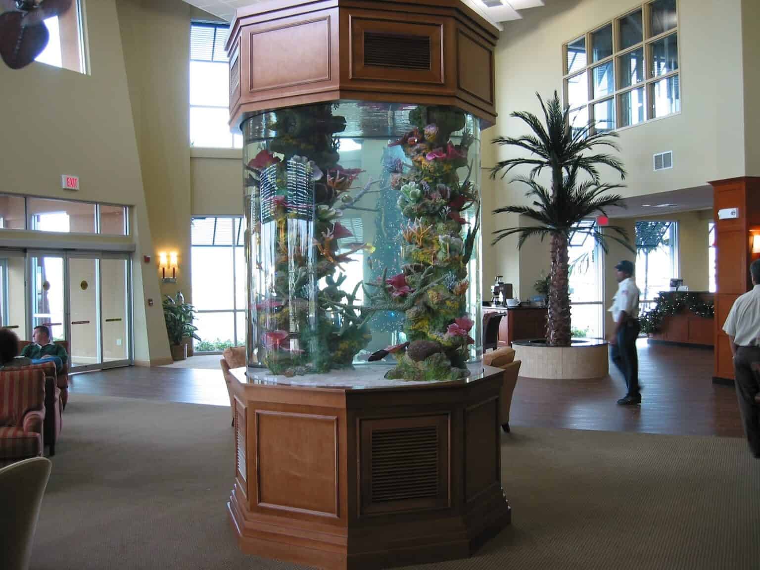 Custom commercial aquarium installation in South Florida