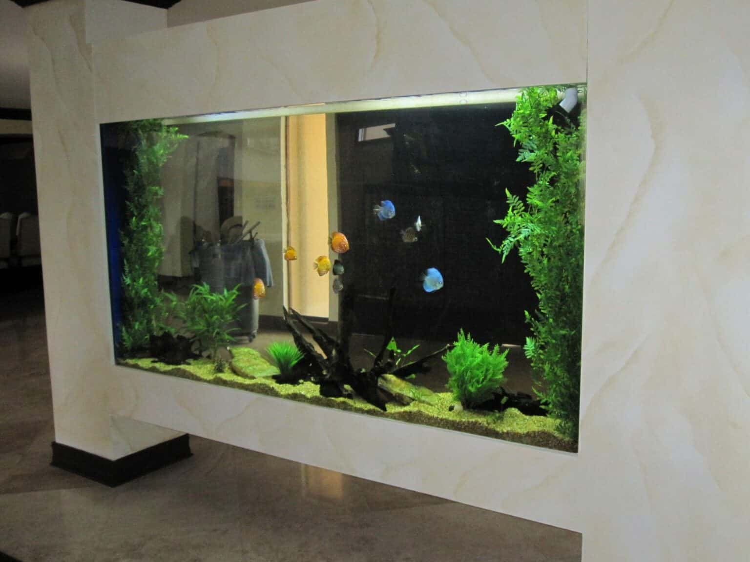 Modern home saltwater aquarium installation