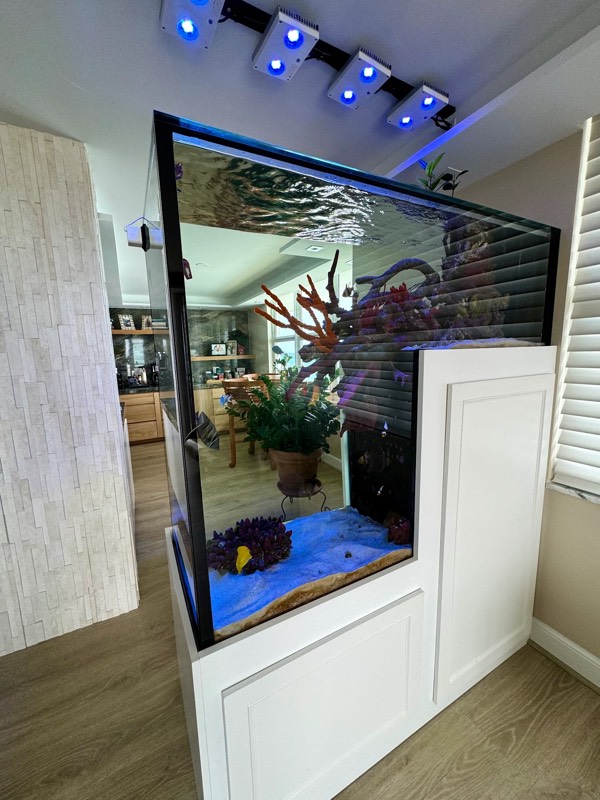 The Smiths’ in-wall reef aquarium built into white room-divider cabinetry, photographed by the client